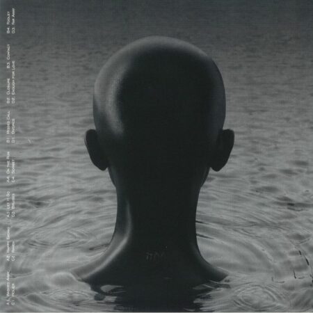 Raven - Image 2
