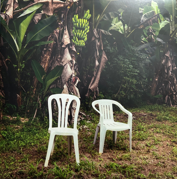 Debí Tirar Más Fotos