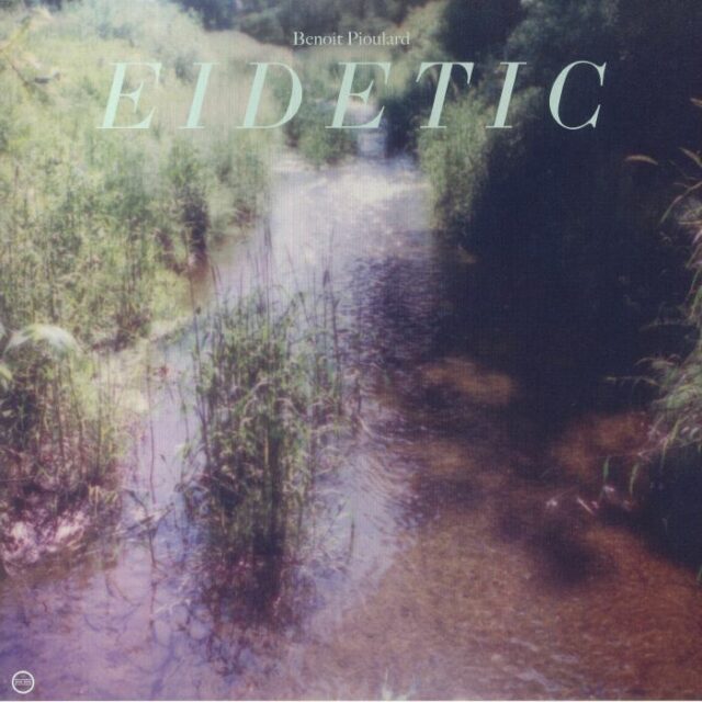 Eidetic