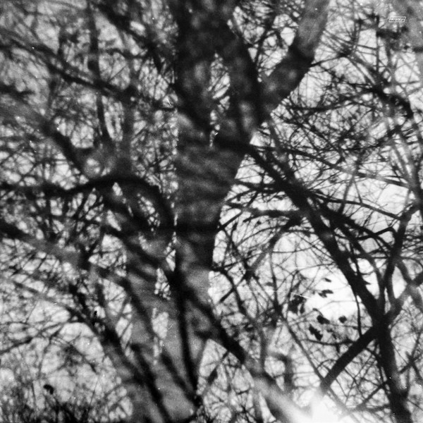 Way Their Crept - Image 2