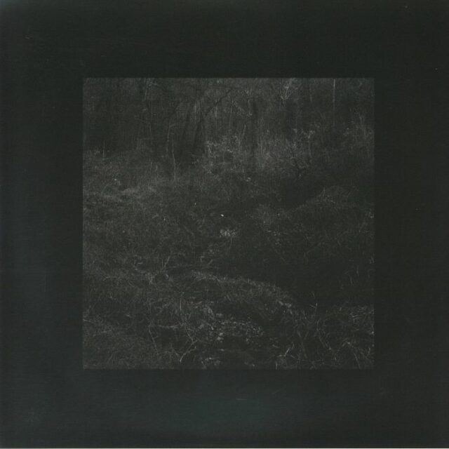 Transient