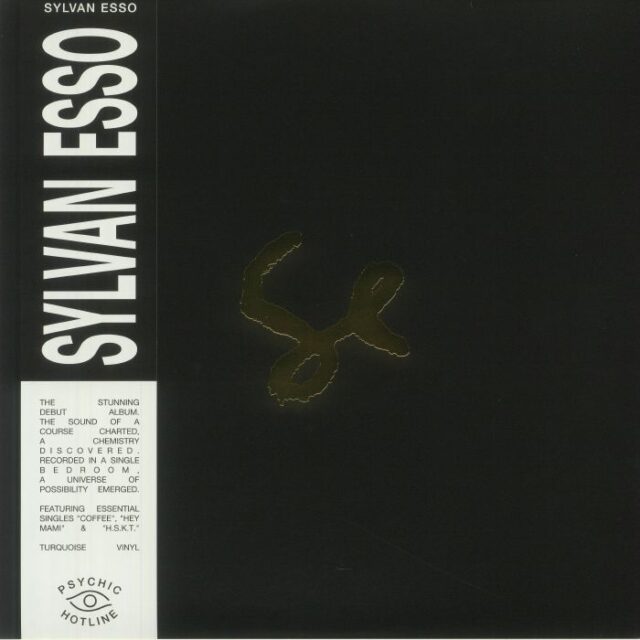 Sylvan Esso